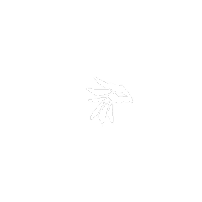 arcturusphoenix.pages.dev favicon